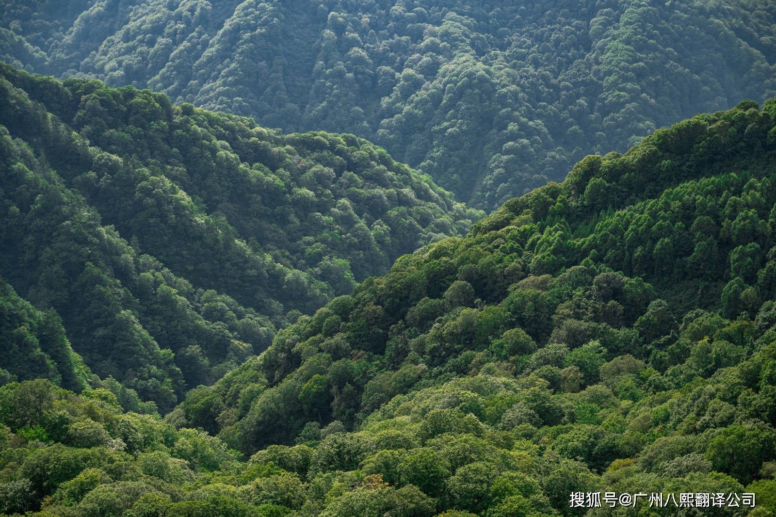 龙8体育致敬每一个努力奋斗的平凡者!广州翻译公司为你分享劳动节相关英文！